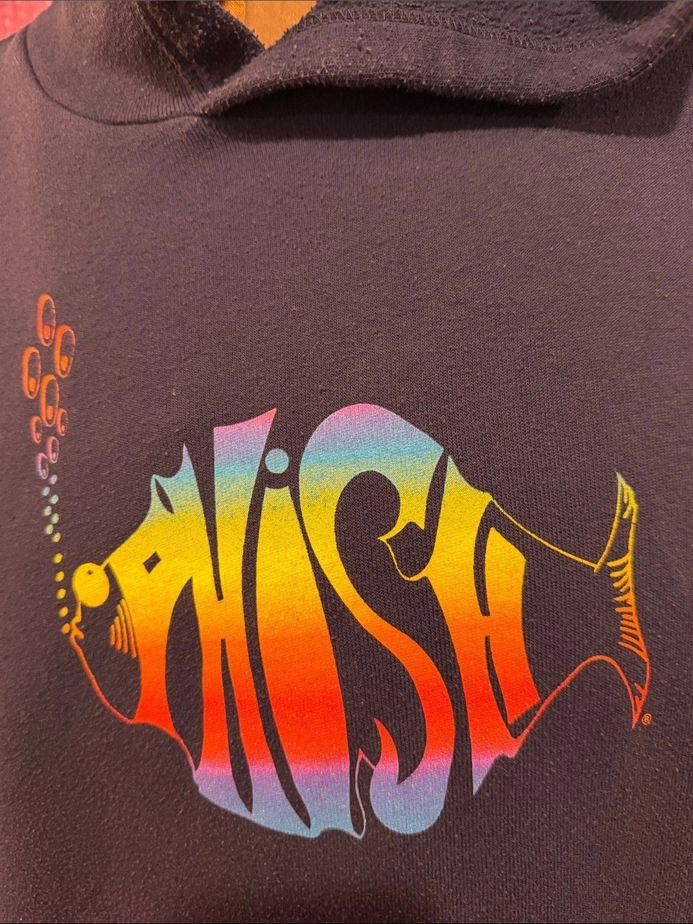 Phish VTG Classic Rainbow Logo Hoodie Graphic Blue - Picture 3 of 4